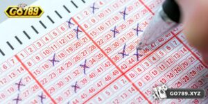Dàn Đề Bất Tử - Phương Pháp Trường Tồn Qua Nhiều Năm 2025